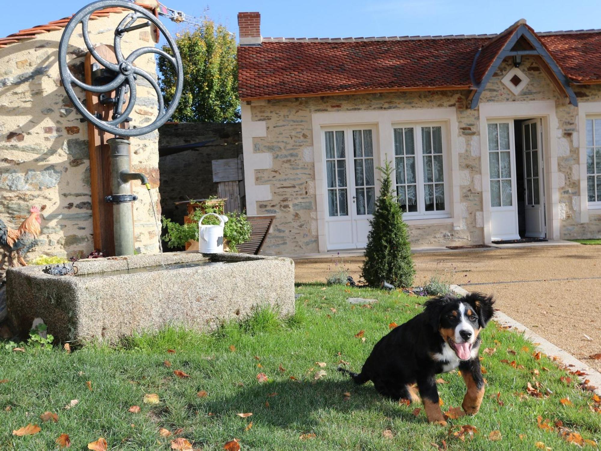 Vila Gite L'Orangerie Mouchamps Exteriér fotografie