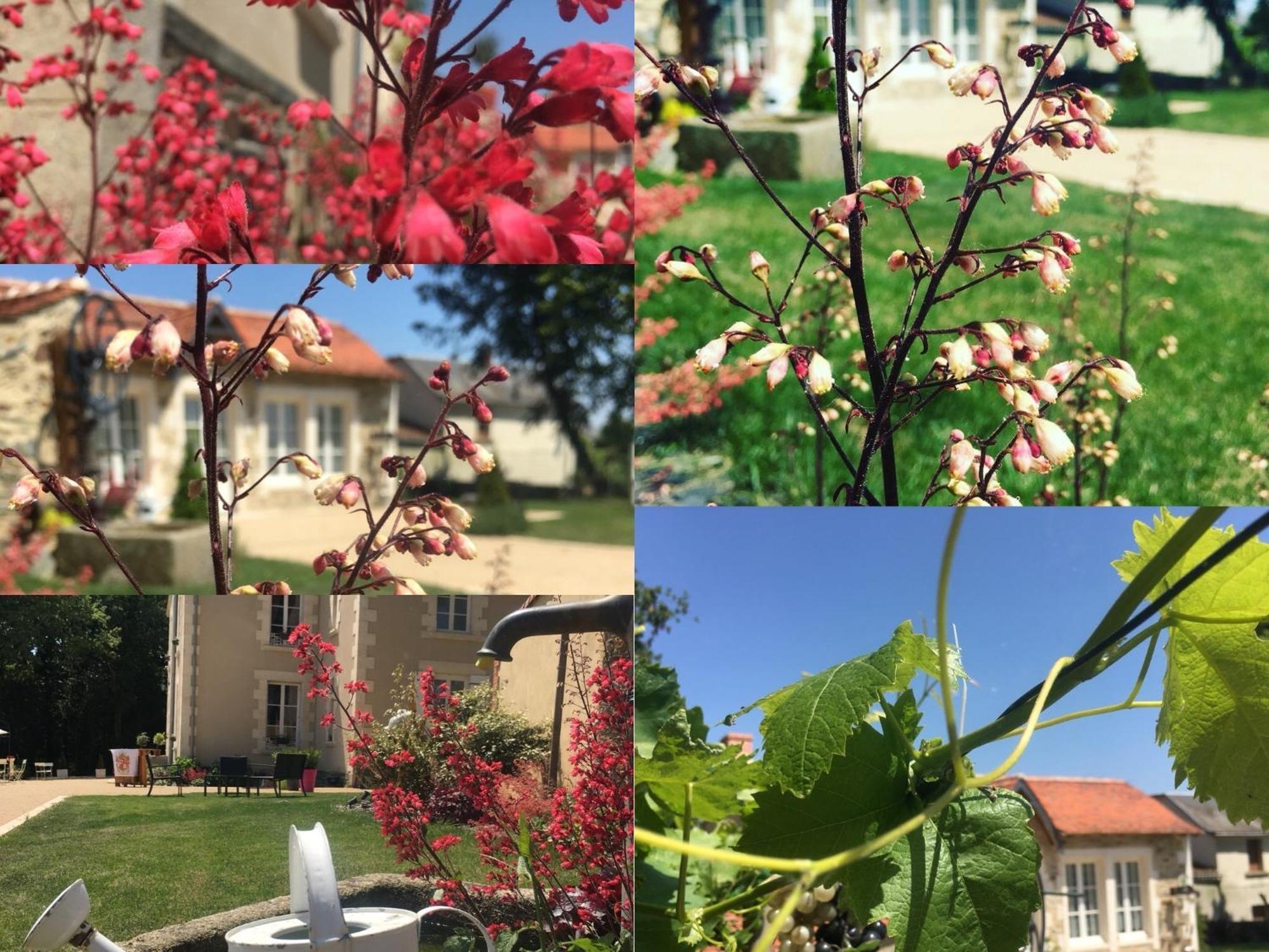 Vila Gite L'Orangerie Mouchamps Exteriér fotografie